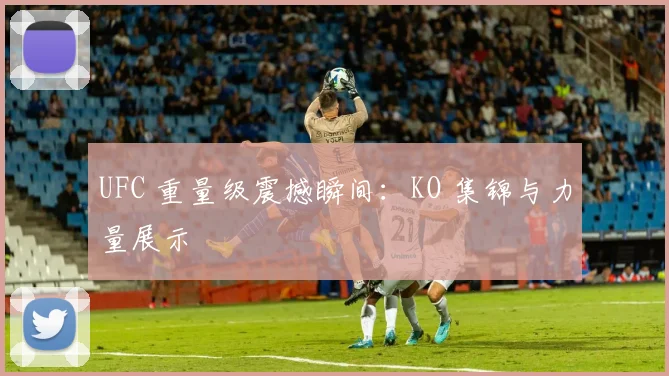 UFC 重量级震撼瞬间:KO 集锦与力量展示