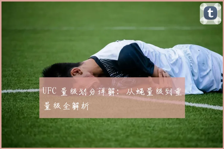 UFC 量级划分详解:从蝇量级到重量级全解析