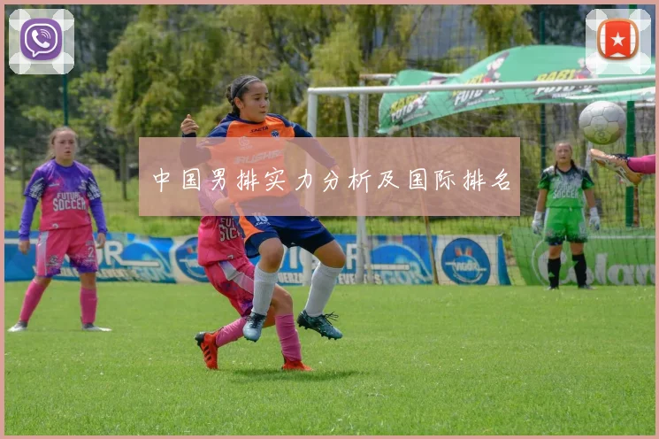 中国男排实力分析及国际排名