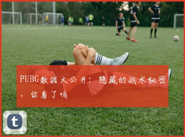 PUBG数据大公开:隐藏的战术秘密,你看了吗